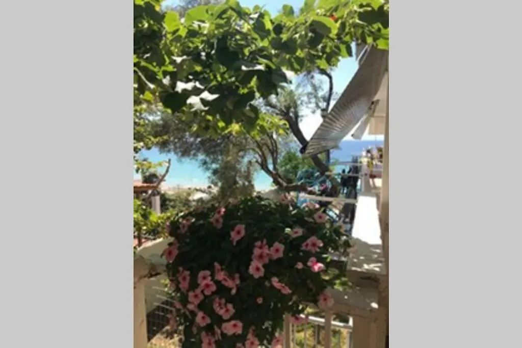 Stefani Apartment With A Sea View Terrace! Nea Moudania Greece